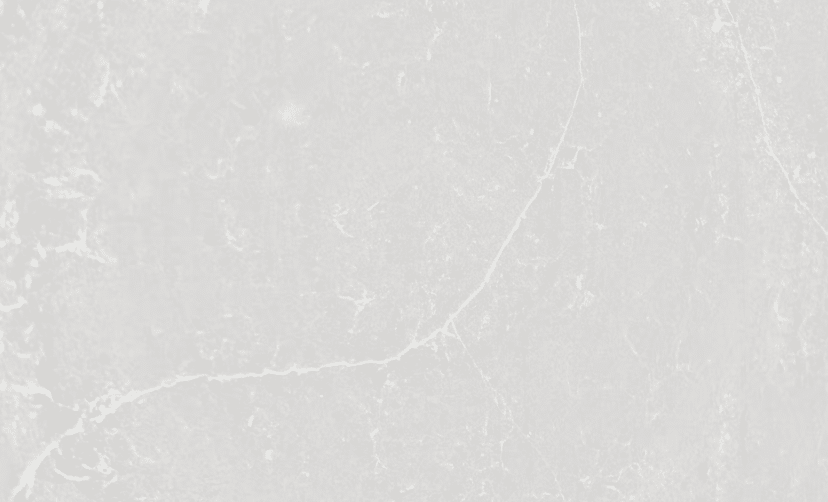 Texture visuelle silestone desert silver